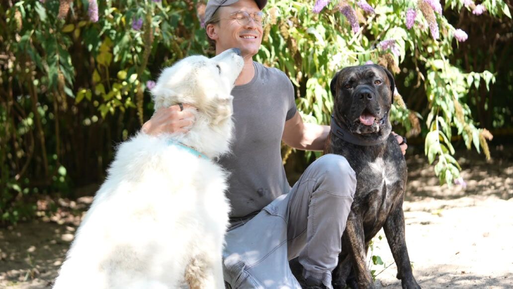 Jontahan Jatzlau mit Hunden